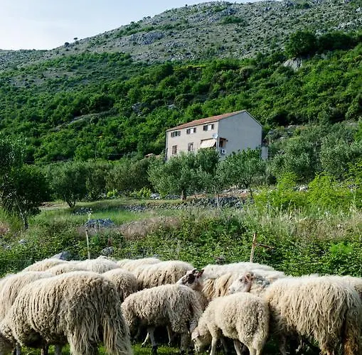 Olive Garden Apartament Čilipi