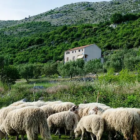 Olive Garden Lejlighed Čilipi